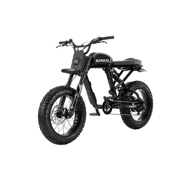 High speed Electric bicycle 400w 500w Electric City Bike 1000w Electric Mountain Bike with Three riding modes