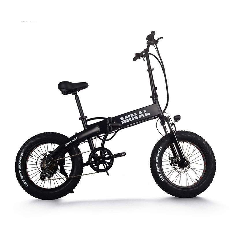 Hot Sell FT40 inch 48V 10.5Ah mountain foldable 350w High Speed Rear Drive Brushless Gear Hub fat tire electric bike
