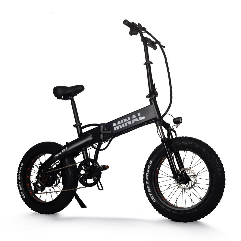 Hot Sell FT40 inch 48V 10.5Ah mountain foldable 350w High Speed Rear Drive Brushless Gear Hub fat tire electric bike