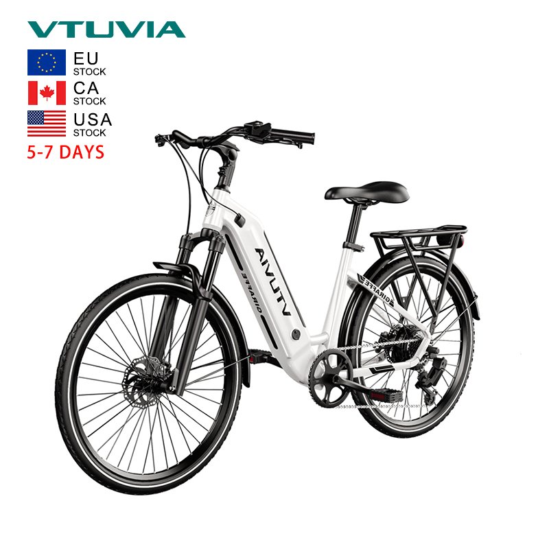 USA EU Warehouse Stock 250w 500w 36v 48v Battery Torque Sensor Hub Motor Electric City Bike Road Bicycle Ebike