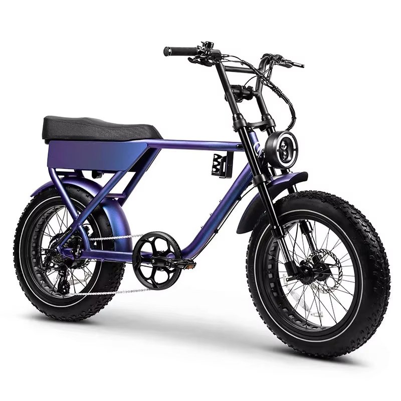 2024 New 750W Electric Fat Tire Bike 20Inch Road Electric Bicycle 18Ah Electric Mountain Bike Hybrid City Electric Dirt Bike