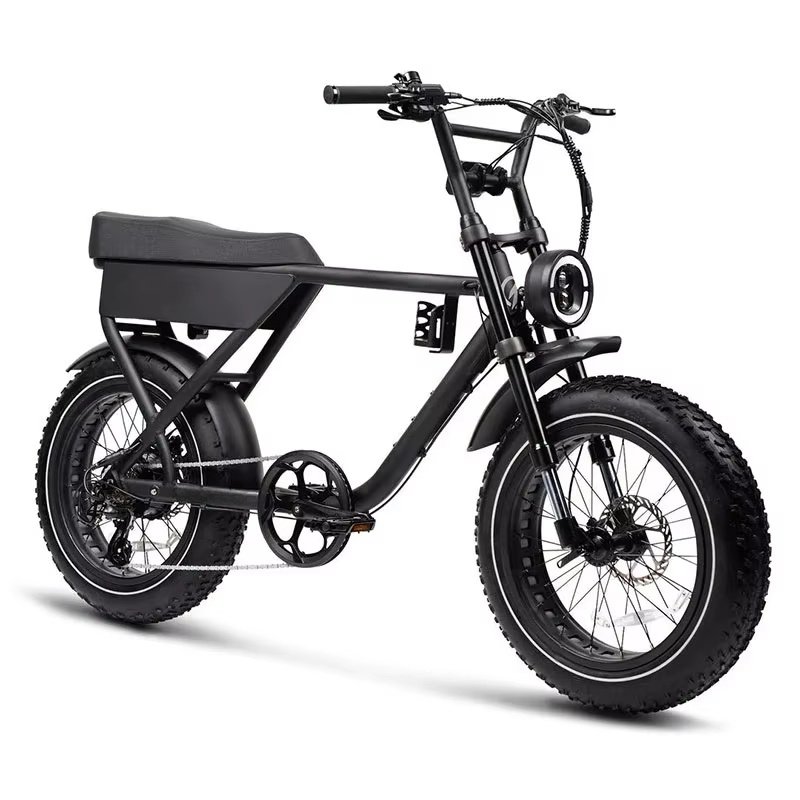 2024 New 750W Electric Fat Tire Bike 20Inch Road Electric Bicycle 18Ah Electric Mountain Bike Hybrid City Electric Dirt Bike
