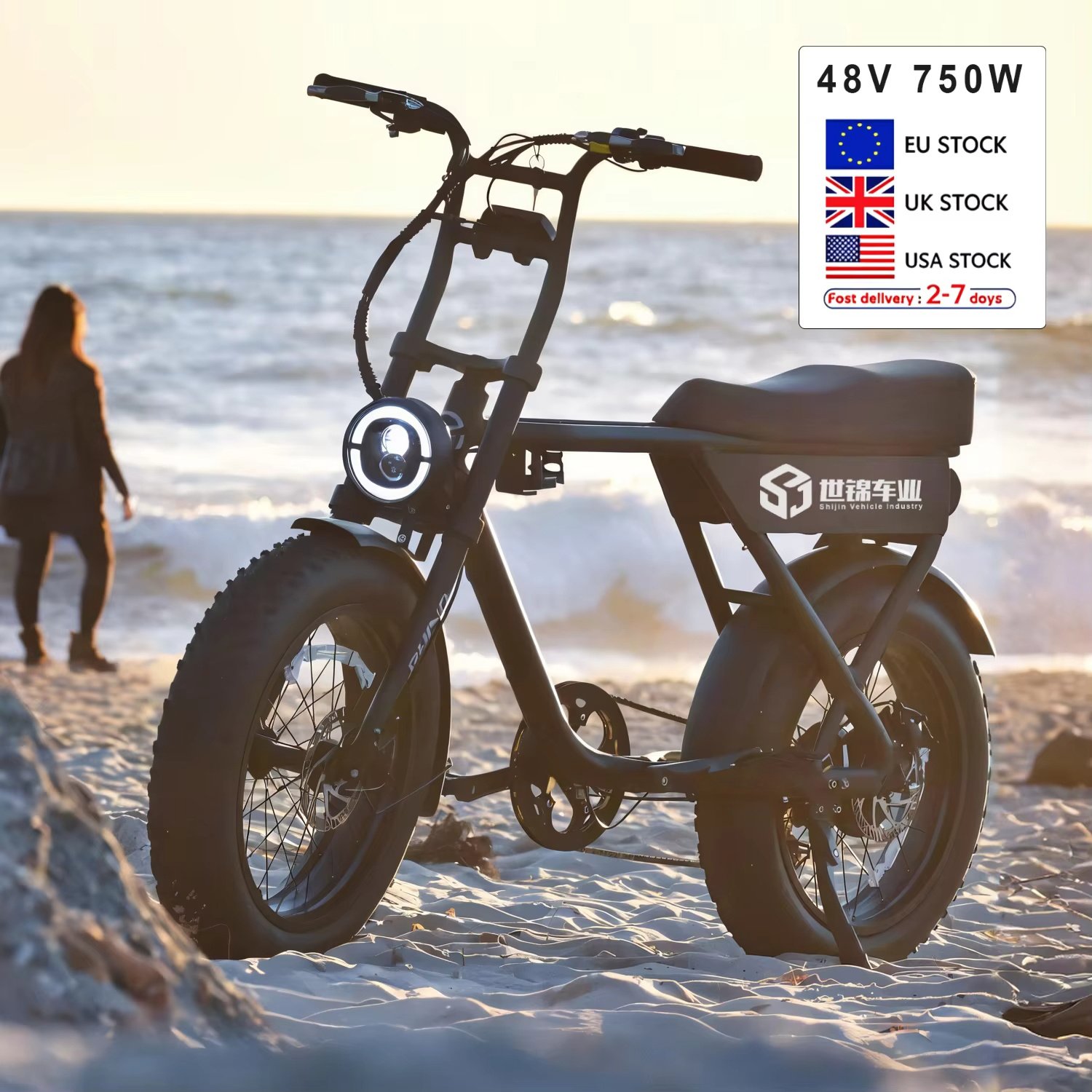 2024 New 750W Electric Fat Tire Bike 20Inch Road Electric Bicycle 18Ah Electric Mountain Bike Hybrid City Electric Dirt Bike