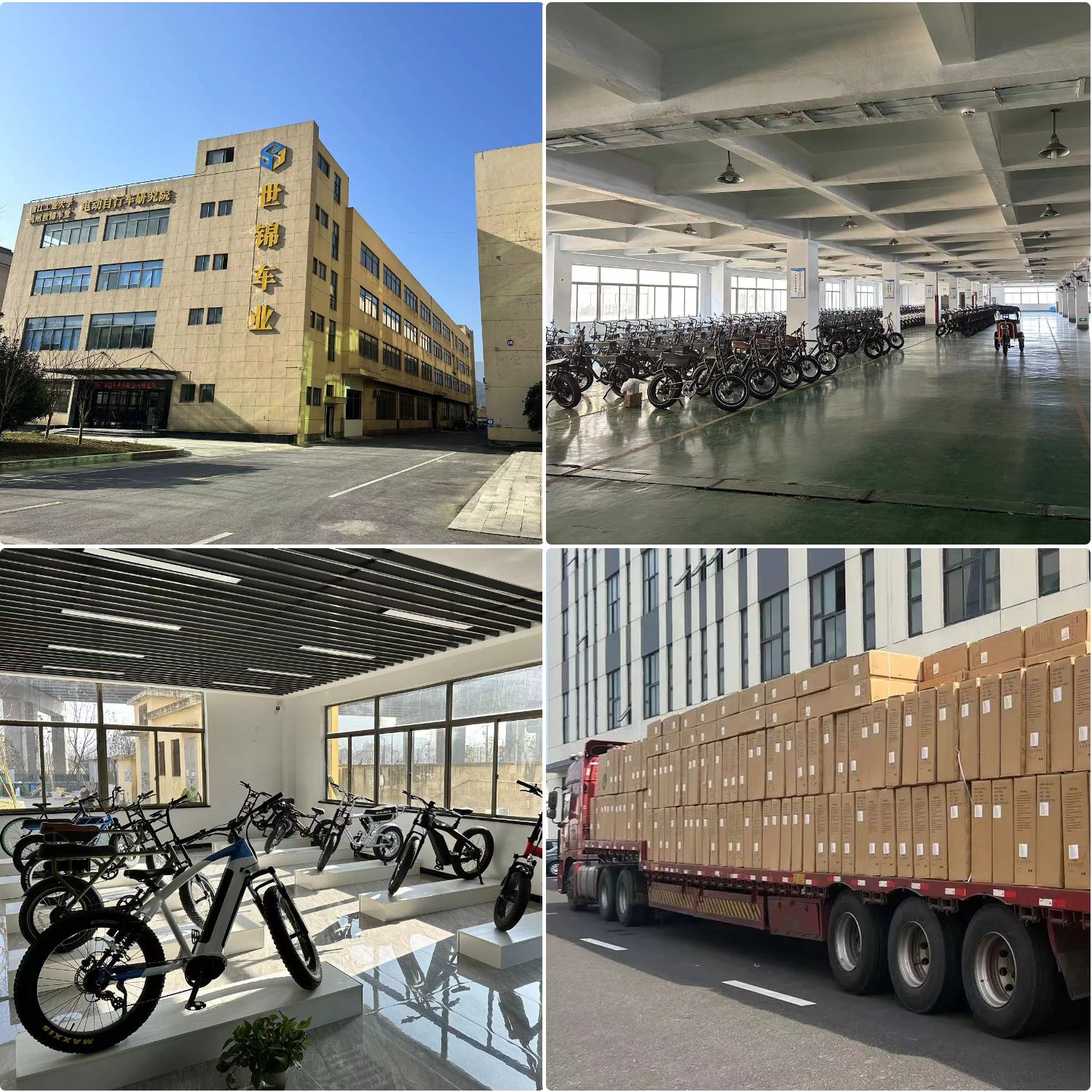 2024 New 750W Electric Fat Tire Bike 20Inch Road Electric Bicycle 18Ah Electric Mountain Bike Hybrid City Electric Dirt Bike