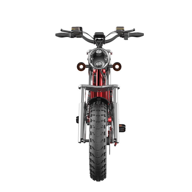 Fast Speed 20 Inch Fat Tire Electric Bike 48V 1500W Mobility Electric Mountain Bike Electric City Bicycle Scooter