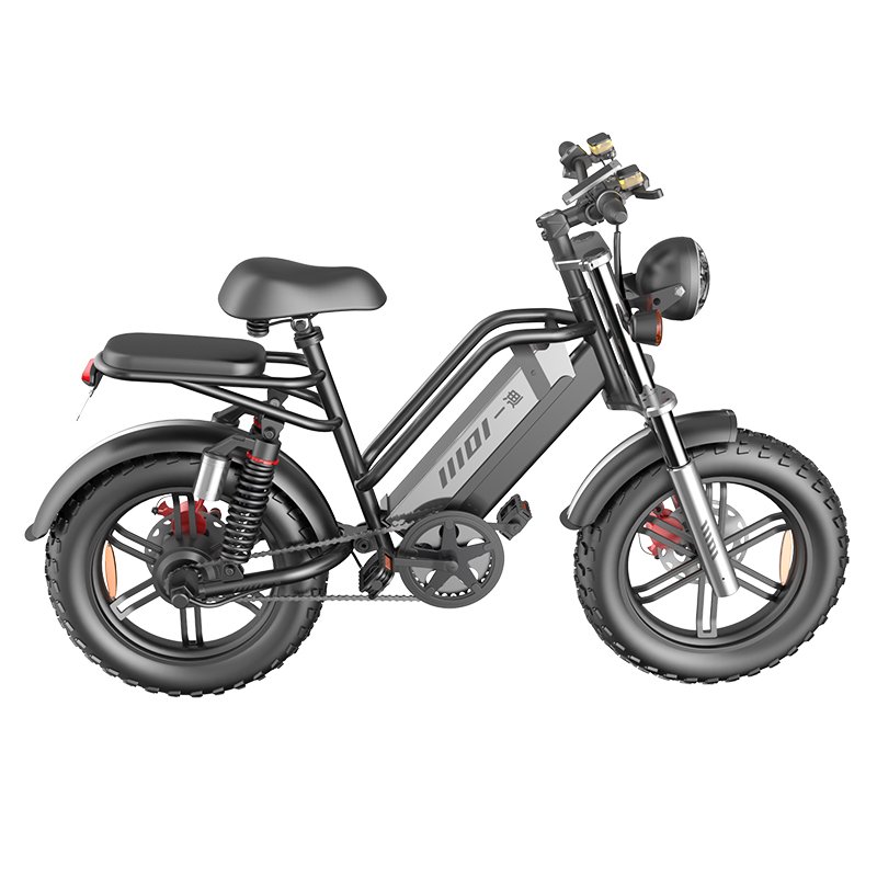 Fast Speed 20 Inch Fat Tire Electric Bike 48V 1500W Mobility Electric Mountain Bike Electric City Bicycle Scooter