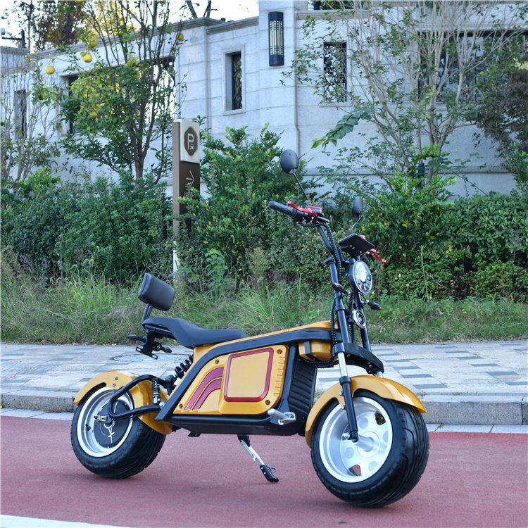 Hunlk 2000W & 3000W Electric Scooter Citycoco 2-Wheel EEC E-Chopper for Adults Bluetooth Smart with Fat Tire Off-Road & City Use