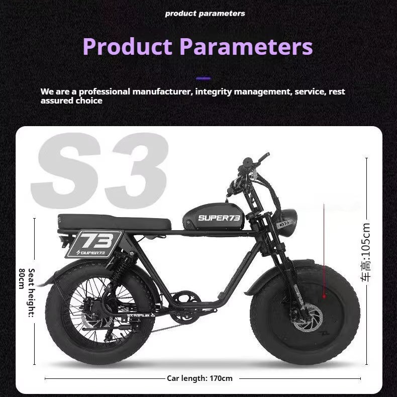 Super73 Y1 RX S1 S2 High-Speed Electric Dirt Bike 500W High Power with 48V Fat Tire Direct from China Manufacturer
