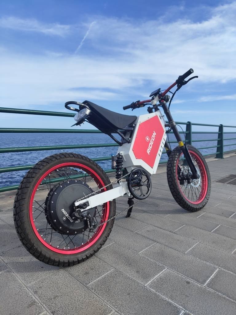 The Chun Bluedot Boneng 19 inch Fat Tire Ebike Electric Off road Dirt Bike
