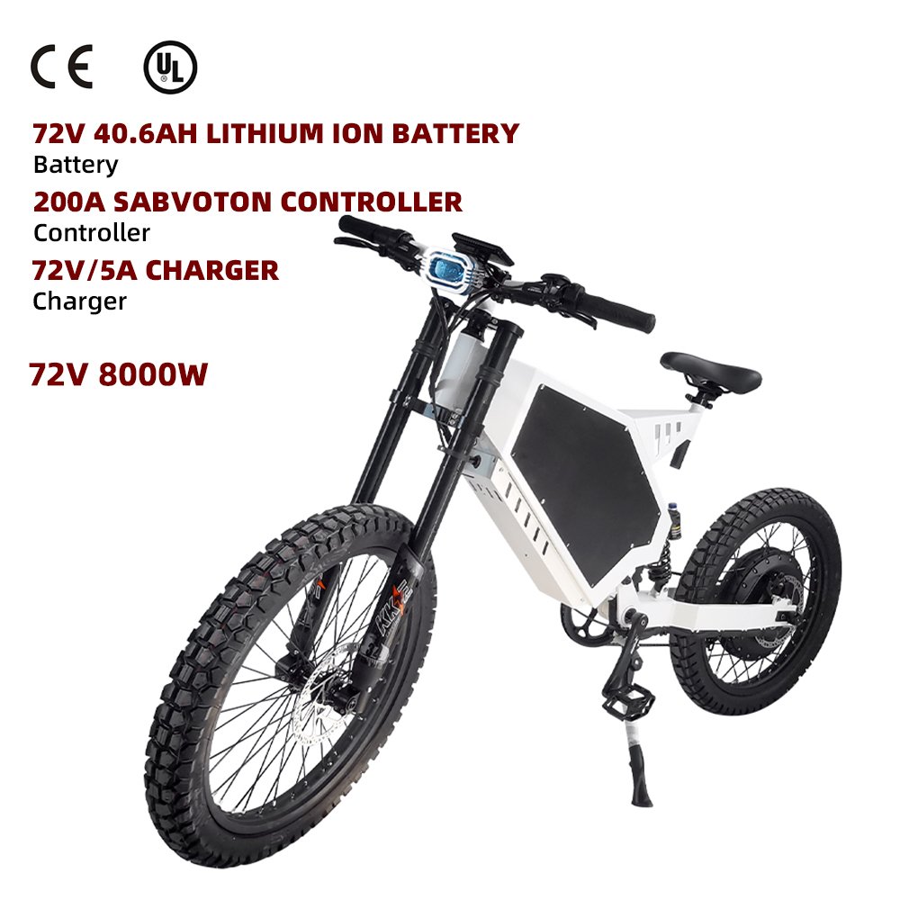 The Chun Bluedot Boneng 19 inch Fat Tire Ebike Electric Off road Dirt Bike