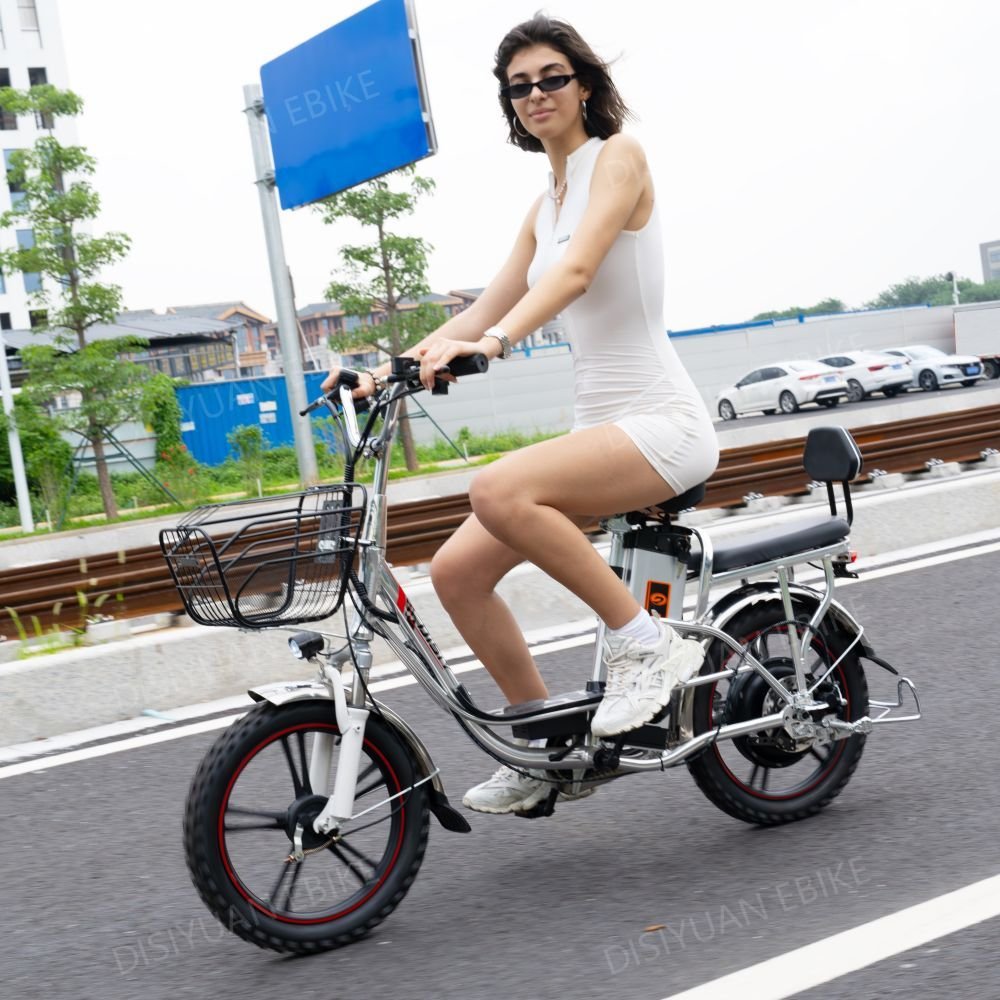 DISIYUAN 36V 48V 60V 10Ah electric bike,CKD SKD electric bicycle(old) electric bicycle,lithium battery 350W electric city bike