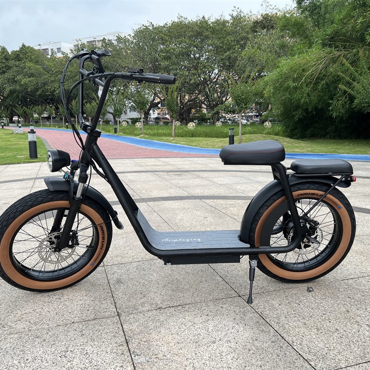 Chinese OEM E bike 48V 15AH 20ah 1000w Electric Bike Long Range 20'' Ebike Electric City Bike for Adult