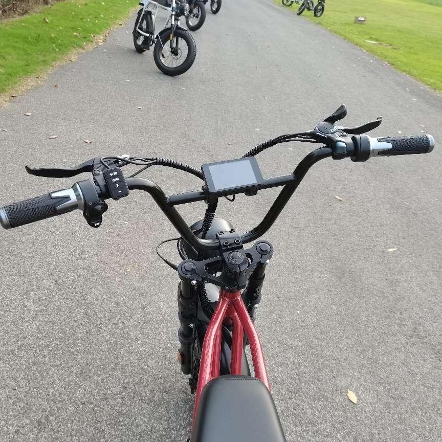 Hot sale adult two wheels compact curved beam electric bikes china 20 inch bike for adults