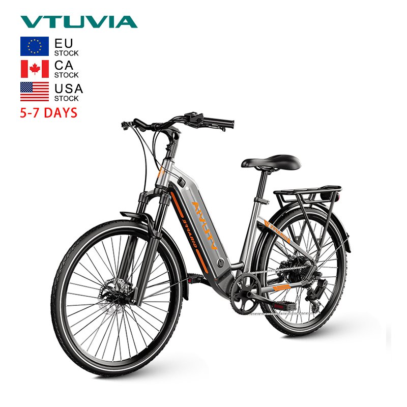 USA EU Canada Warehouse Stock 250w 500w 36v 48v Torque Sensor Hub Motor Electric Mountain Hybrid Bike City Bicycle