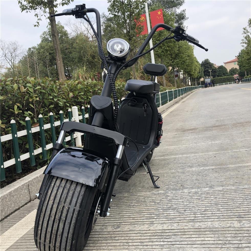 High-Power 1500W Citycoco Electric Bike With Fat Tires And Removable Battery