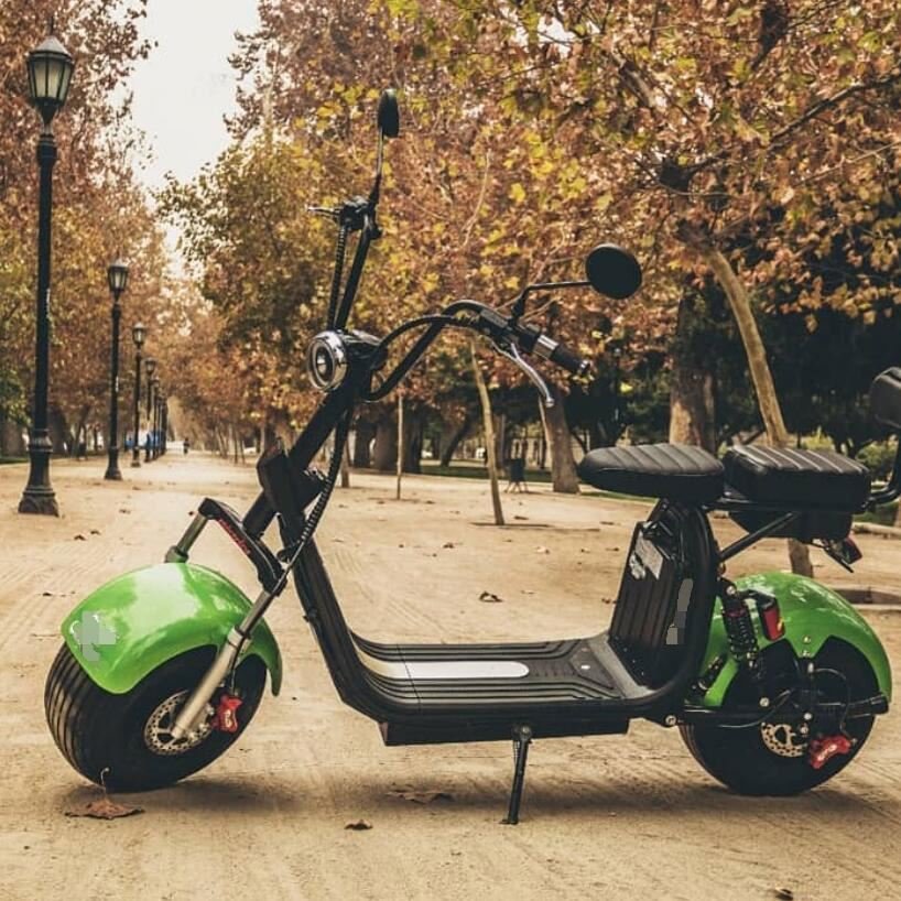 High-Power 1500W Citycoco Electric Bike With Fat Tires And Removable Battery