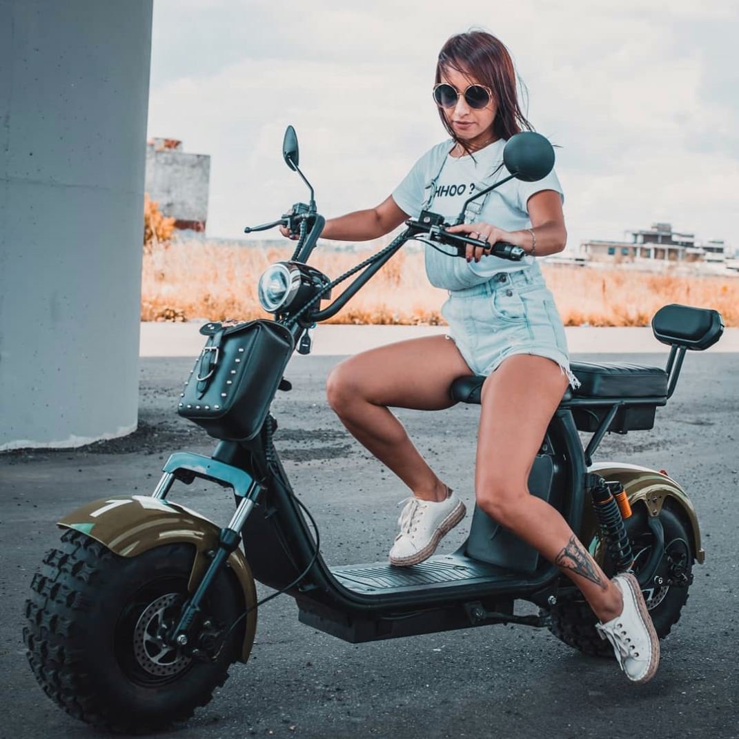 High-Power 1500W Citycoco Electric Bike With Fat Tires And Removable Battery
