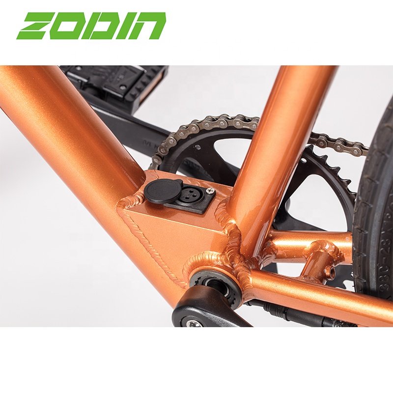 ZODIN CE TUV approved hidden battery 250W 350W Rear Motor babymaker adult light weight electric city bike ebike bicycle
