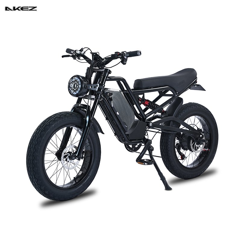 Wholesale High Quality Double Shoulder Shock Absorber Front Fork Electric Bike Fat Tire Electric Bicycle