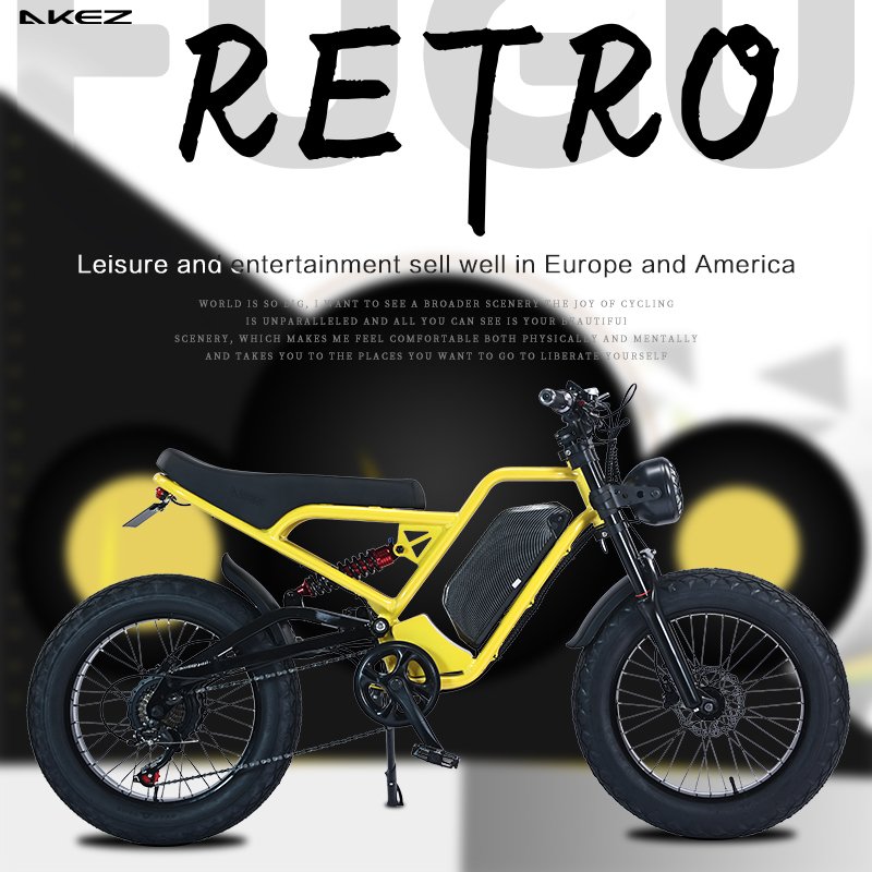 Wholesale High Quality Double Shoulder Shock Absorber Front Fork Electric Bike Fat Tire Electric Bicycle