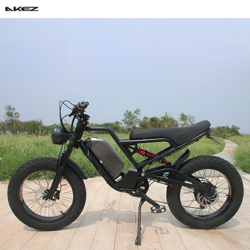 Wholesale High Quality Double Shoulder Shock Absorber Front Fork Electric Bike Fat Tire Electric Bicycle