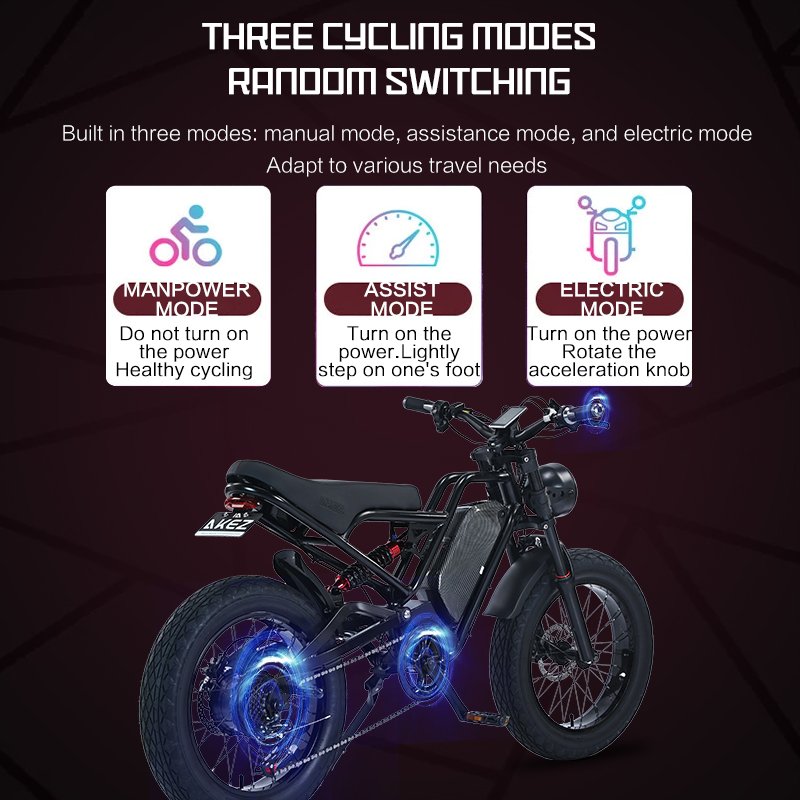 Wholesale High Quality Double Shoulder Shock Absorber Front Fork Electric Bike Fat Tire Electric Bicycle