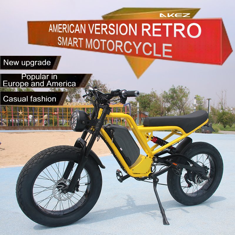 Wholesale High Quality Double Shoulder Shock Absorber Front Fork Electric Bike Fat Tire Electric Bicycle