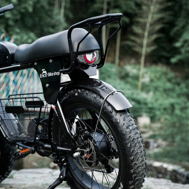 Leading Technology Aluminum Alloy Cheap Tire Tyre Mountain Fat Wheel Electric Bike
