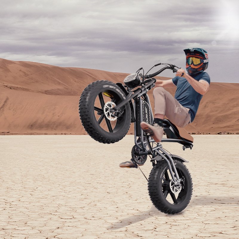 X50 Electric Fat 750W 20MPH Mountain Bike Electric Beach Snow Bicycle 20" 4.0 Tire Ebike 48v Lithium Battery Electric Bike