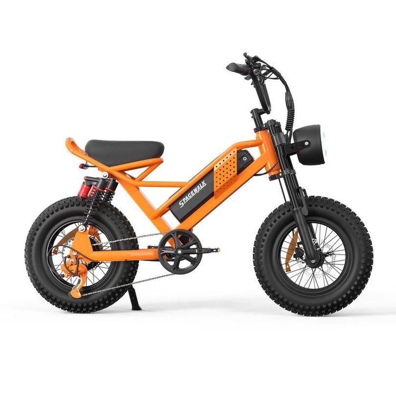 Hot Selling High-Power Long Endurance Electric Bike for Outdoor Activities Seven Speed Adjustable Electric Bike