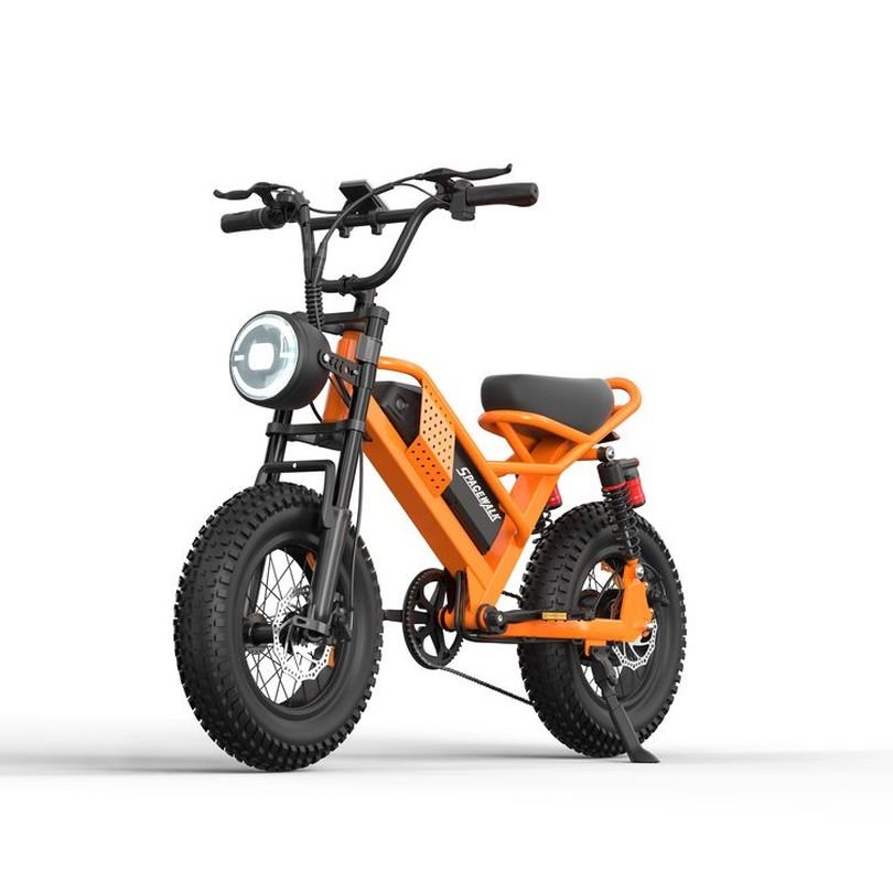 Hot Selling High-Power Long Endurance Electric Bike for Outdoor Activities Seven Speed Adjustable Electric Bike