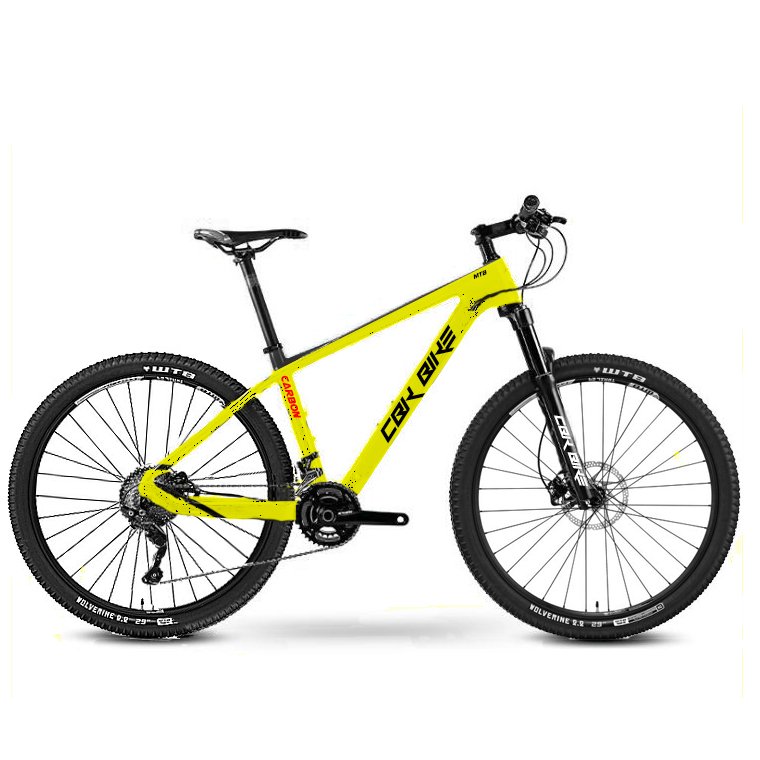 CarbonBikeKits 29er MTB bike full hard tail carbon mountain bike