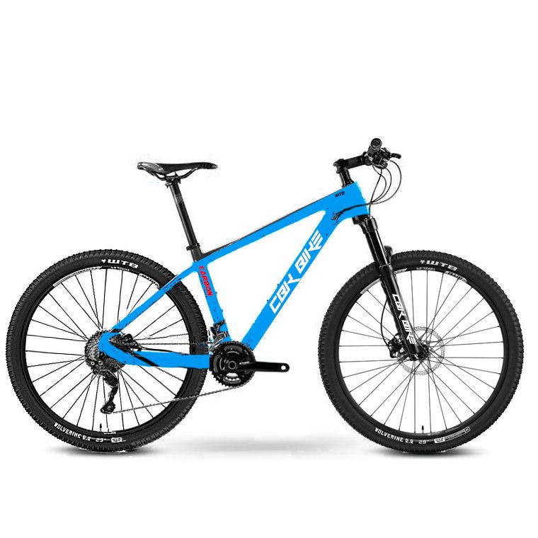 CarbonBikeKits 29er MTB bike full hard tail carbon mountain bike