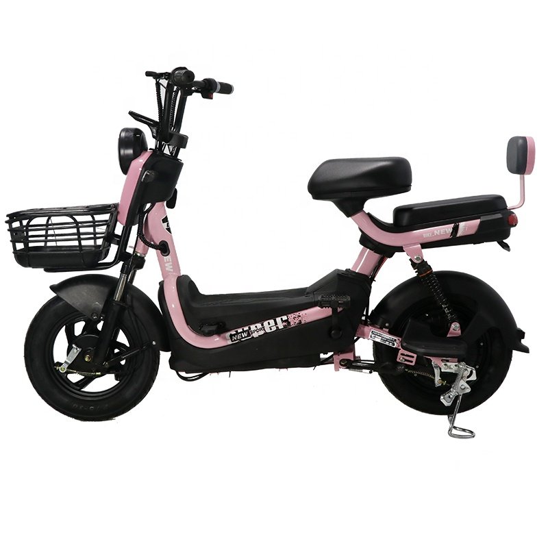 Best Quality Electric Bicycle Fat Tire Electric Bike Bicycle E-Bike 48V Electric City Bike For Two Person