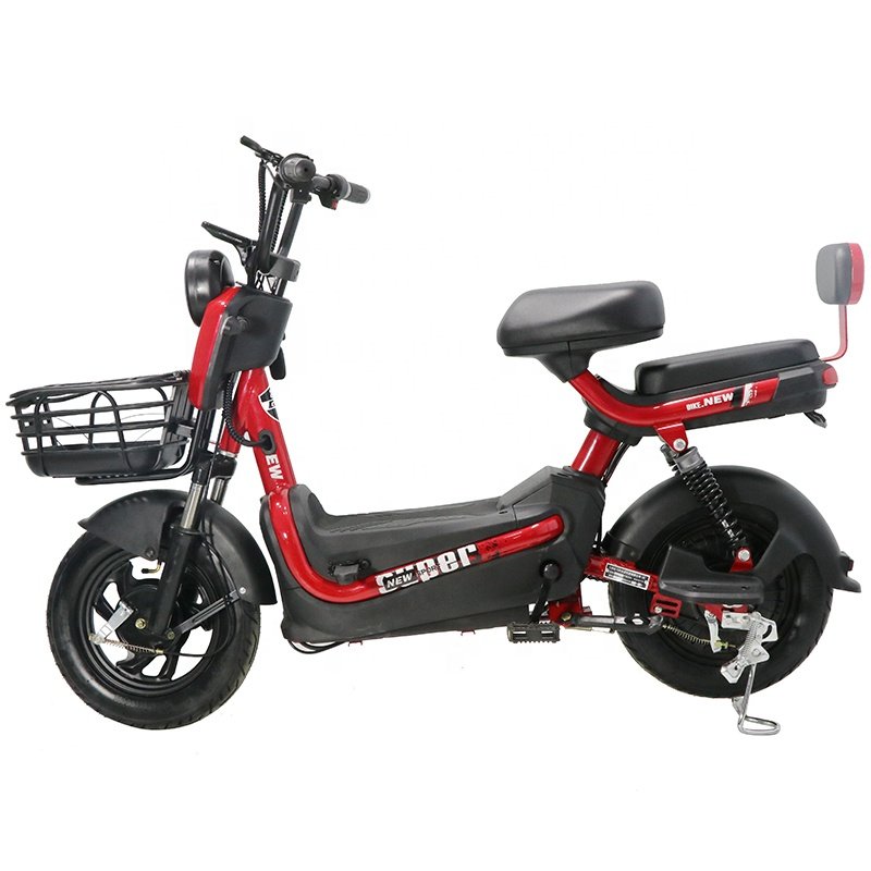 Best Quality Electric Bicycle Fat Tire Electric Bike Bicycle E-Bike 48V Electric City Bike For Two Person