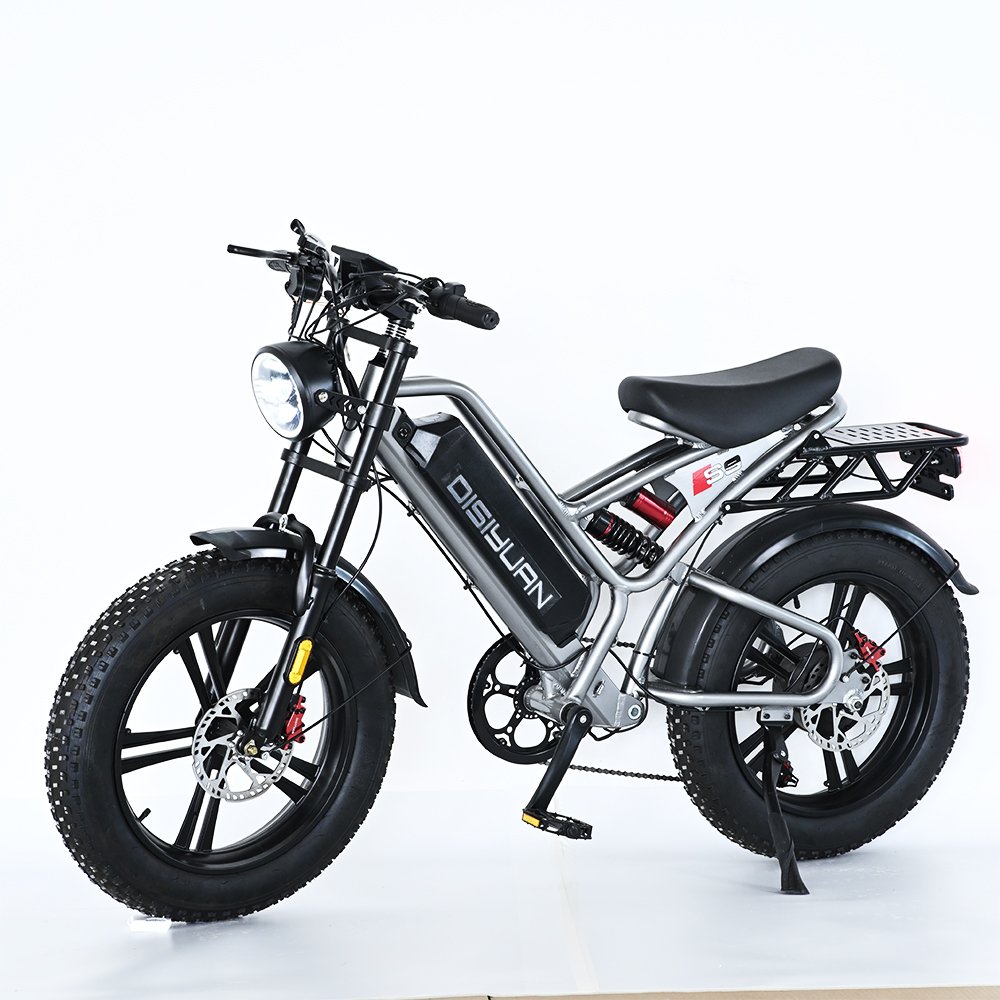 Disiyuan 20 inch Super S9 Cargo Mtb Electric Bike 48V Fat Tire Electric Bicycle V20 Bike Electric Mountain Bike 1000W 500W