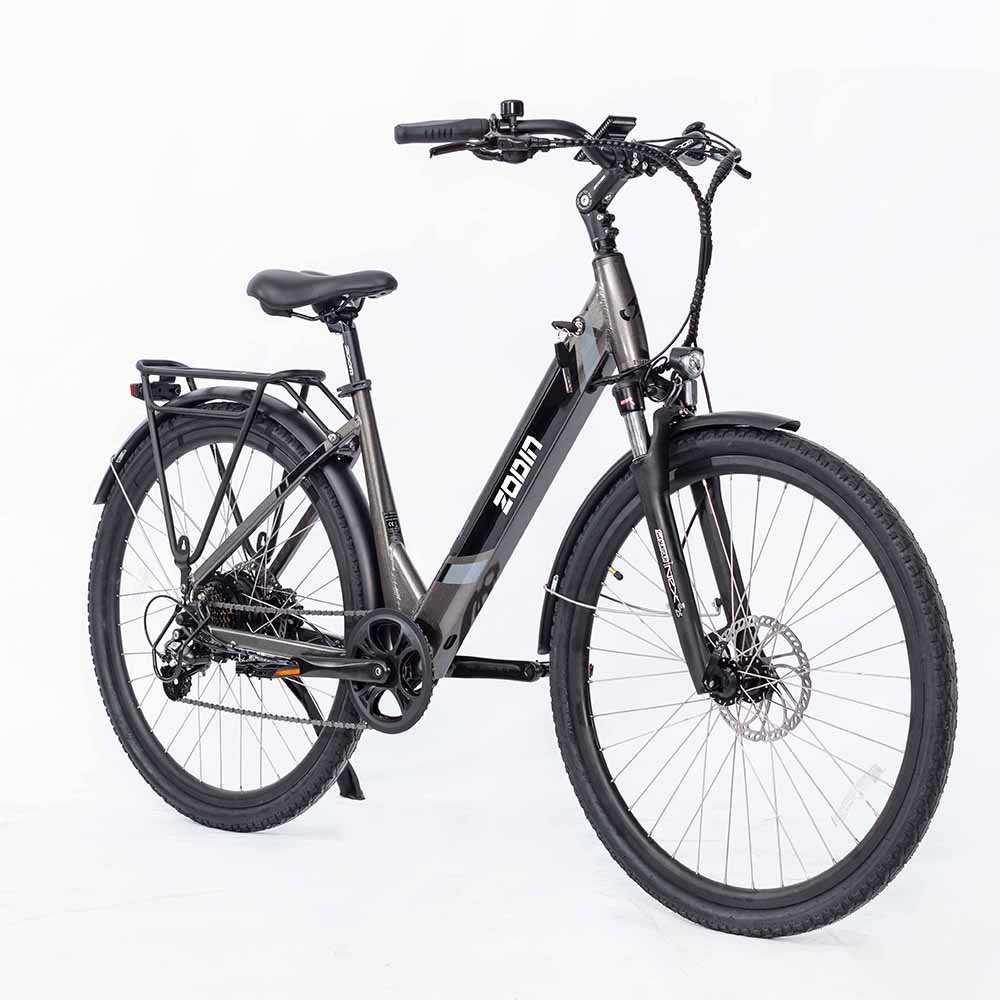 New Design Electric Bike 250W 36V 10Ah 7 Speed Gears Disc Brake Brushless Alloy Aluminum Frame Electric City Bicycle