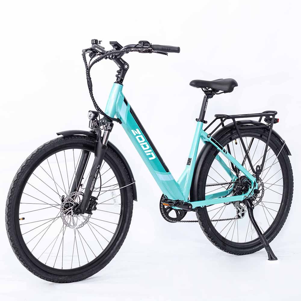 New Design Electric Bike 250W 36V 10Ah 7 Speed Gears Disc Brake Brushless Alloy Aluminum Frame Electric City Bicycle