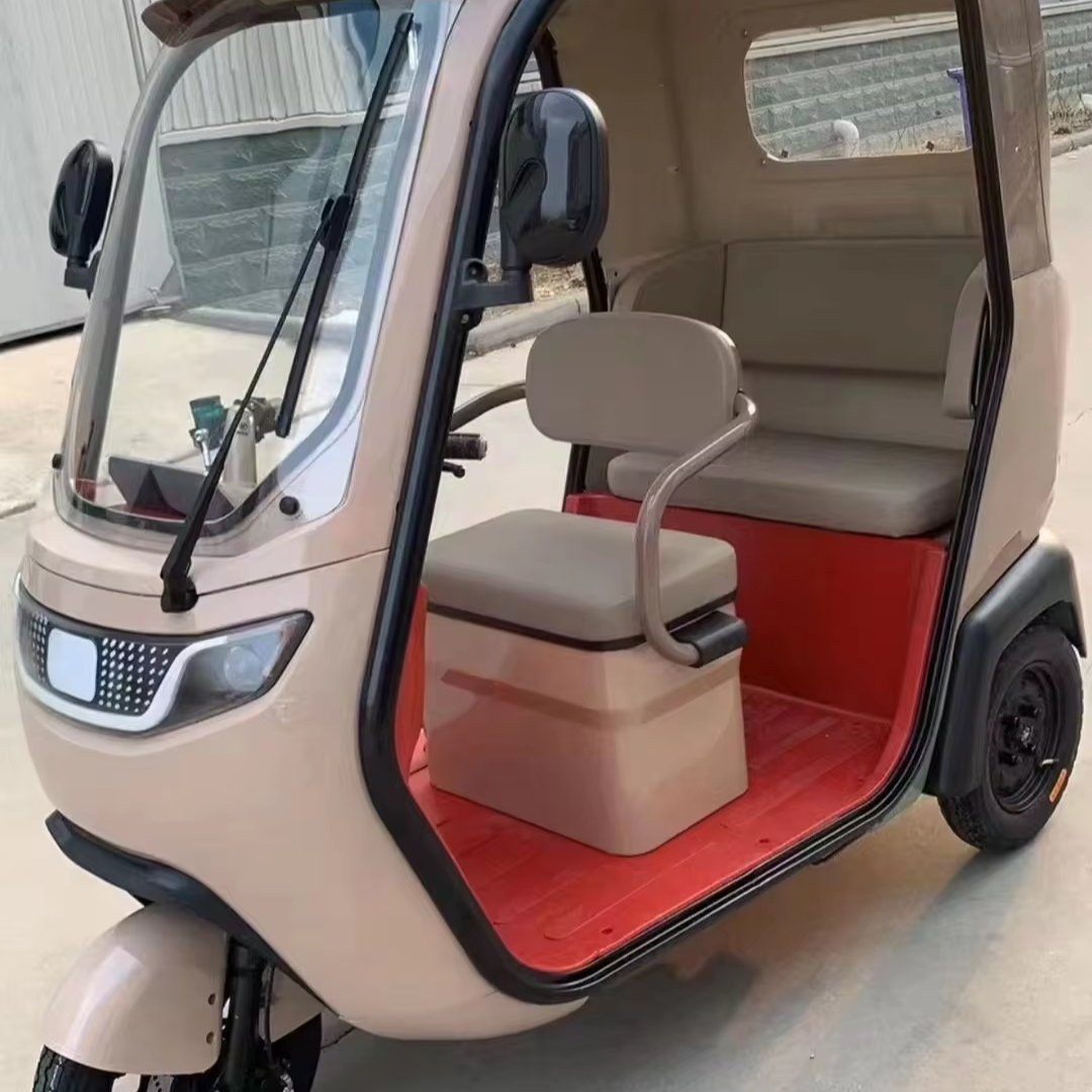 New Model Electric Pedicab for Elderly Fat Tire 3-Wheel Tricycle for Passenger and Cargo Transport
