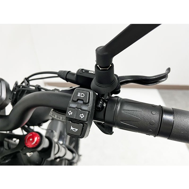 2024 New Model 1000W Powerful Electronic Bicycle 20 Inch/24Inch Fat Tire Beach/Snow Electric Bicycle