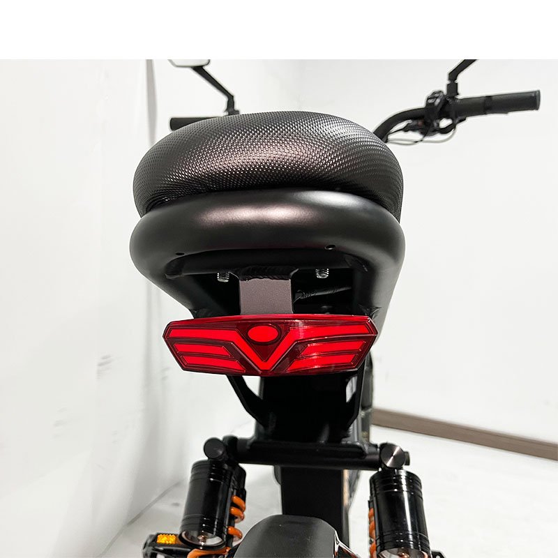 2024 New Model 1000W Powerful Electronic Bicycle 20 Inch/24Inch Fat Tire Beach/Snow Electric Bicycle