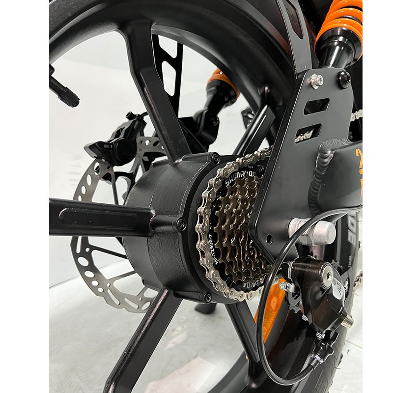 2024 New Model 1000W Powerful Electronic Bicycle 20 Inch/24Inch Fat Tire Beach/Snow Electric Bicycle
