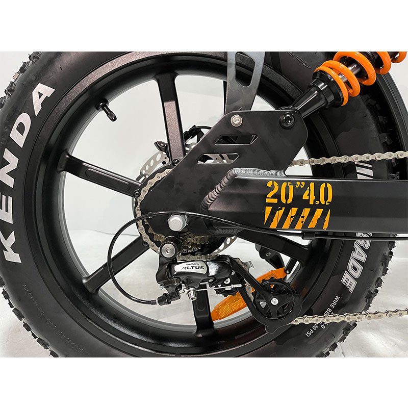 2024 New Model 1000W Powerful Electronic Bicycle 20 Inch/24Inch Fat Tire Beach/Snow Electric Bicycle