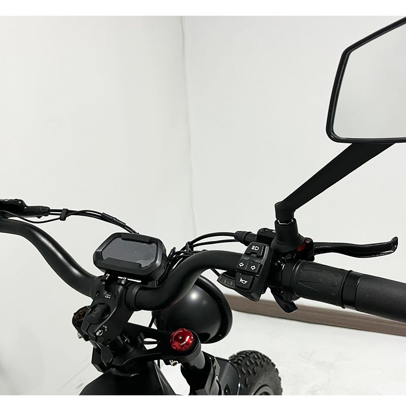 2024 New Model 1000W Powerful Electronic Bicycle 20 Inch/24Inch Fat Tire Beach/Snow Electric Bicycle