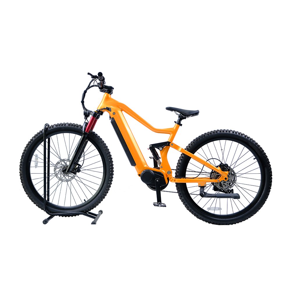 Competitive price 1000w 750watt mid motor electric bike battery 48v 30ah 15ah 29" electric mountain bike mtb