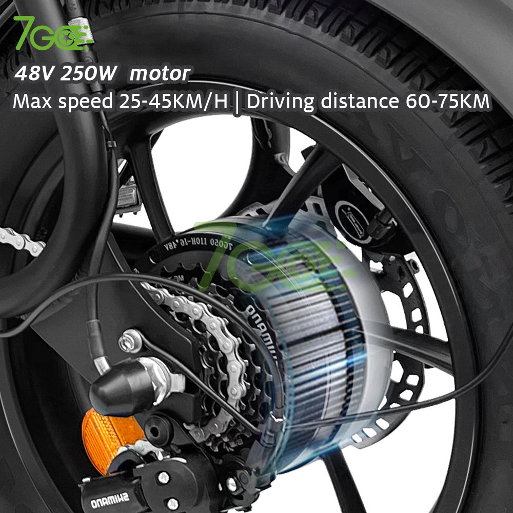 7GO New 48v 750w Retro E-Bike Electric Cycle Road Dirt Fat Tire E Bike Fast Ebike Electric Mountain Bike