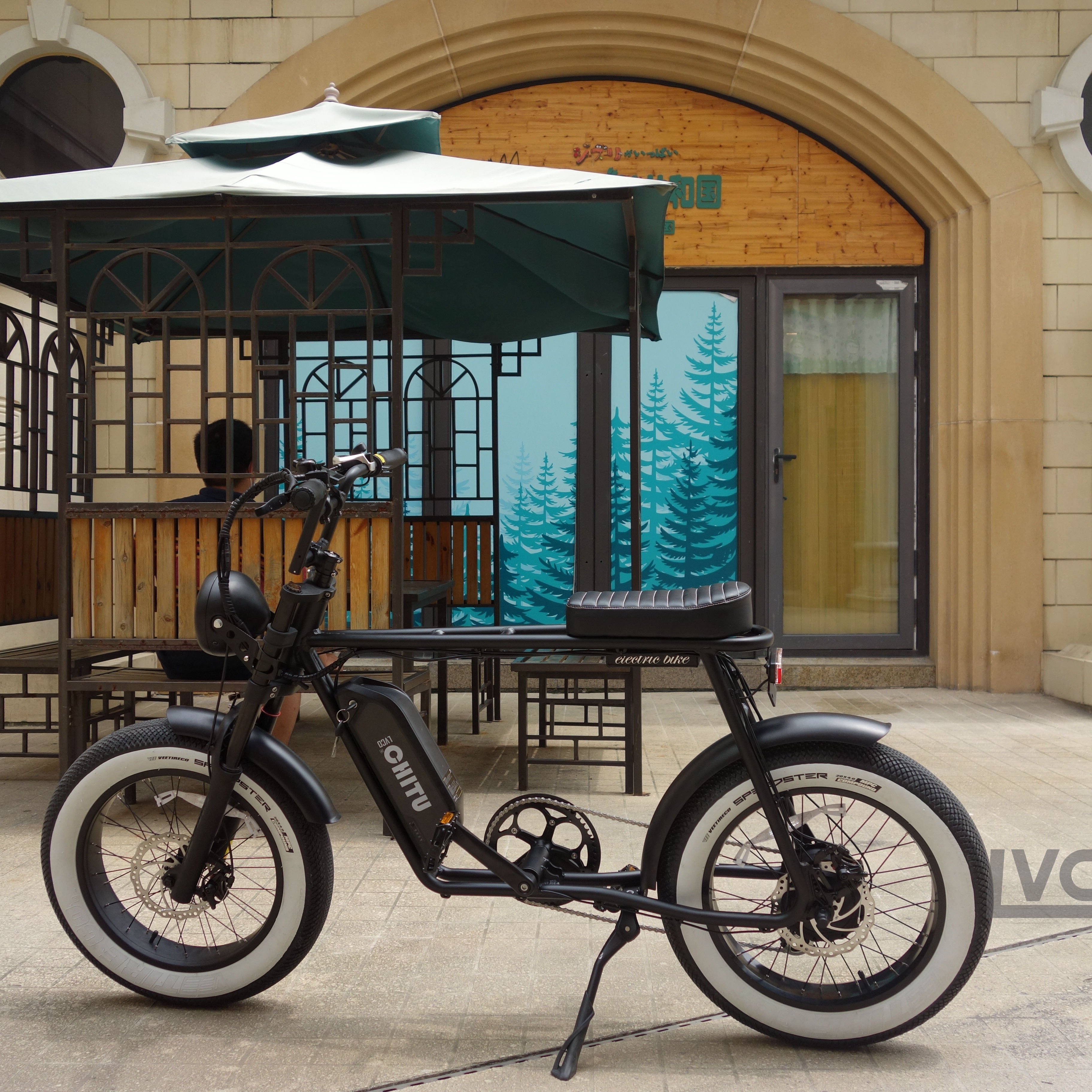 LVCO Customized Morden Style Road Electric City Bike 1000W Offroad Bicycle Battery Moped Ebike oem odm