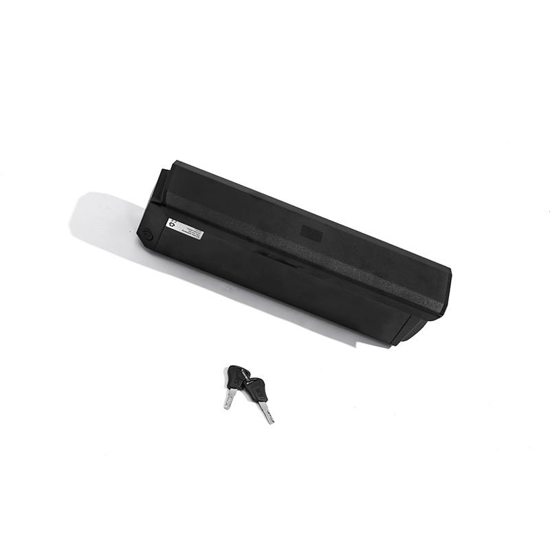 48V 17.5Ah battery 1000W fat tire electric bicycles for outdoor mountain riding