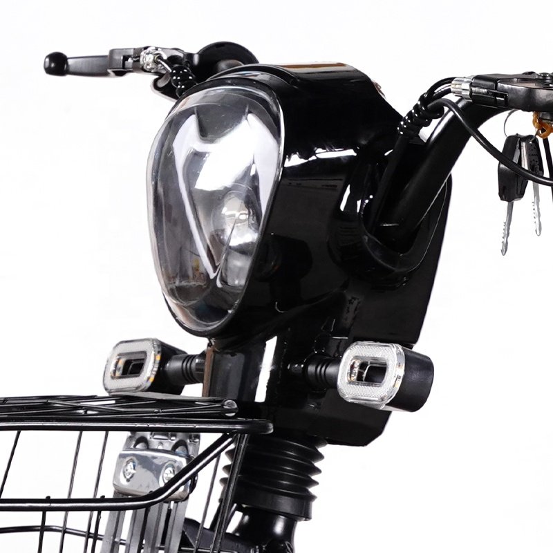 European Warehouse 14 Inch Samebike 3 Speed 350w 48v 12ah Electric City Bike