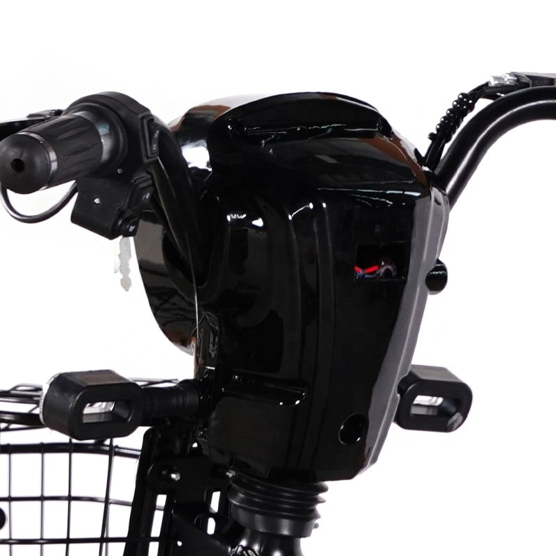 European Warehouse 14 Inch Samebike 3 Speed 350w 48v 12ah Electric City Bike